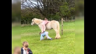 Big brother gives his little sister a big boost for her pony ride