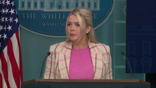 Leavitt calls alleged ISIS-inspired terror plot 'absolutely despicable'