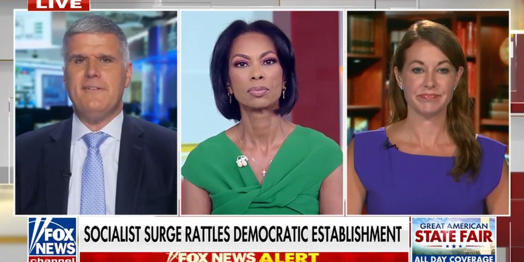 Democratic socialist victories bring the future of the party into question ahead of midterms