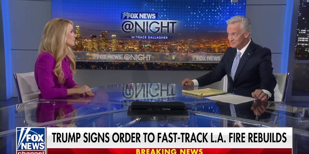 Nurse under investigation for anti-ICE videos