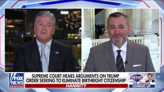 'ABUSE OF OUR LAWS': Ted Cruz discusses ending birthright citizenship