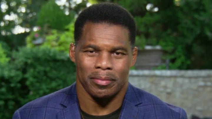 Herschel Walker: Dems pushing reparations are 'pandering for a vote'