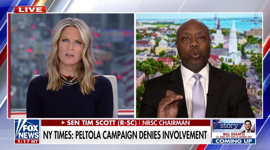 Sen Tim Scott blasts Dems over alleged Alaska ballot stacking scheme