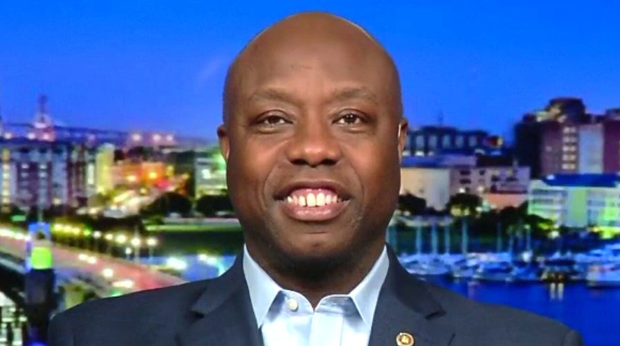 Sen. Tim Scott: Democrats want to turn America into 'socialist utopia'