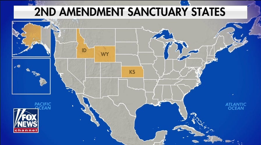 Arizona Republicans push to make state Second Amendment sanctuary