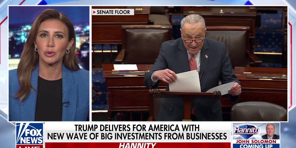 Alina Habba: Dems remind me how 'sick' they are with Trump Derangement Syndrome