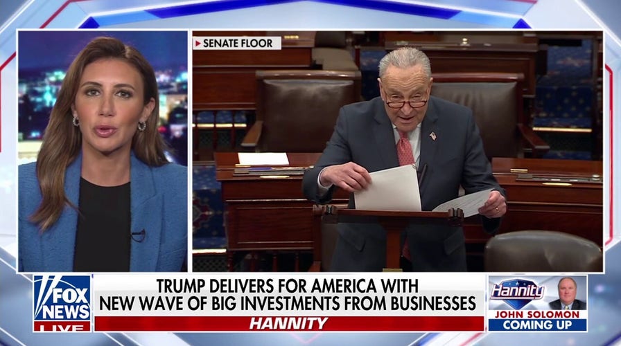 Alina Habba: Dems remind me how 'sick' they are with Trump Derangement Syndrome