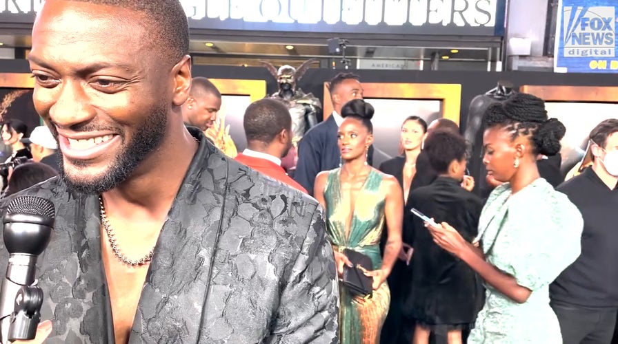‘Black Adam’ star Aldis Hodge on working with Dwayne Johnson: ‘Quite a leader’