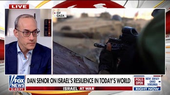 Former Pentagon adviser on Israel's resilience