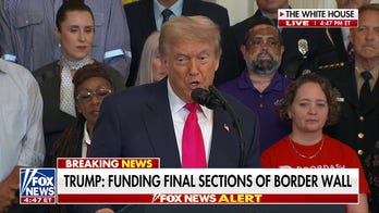 Trump details how 'big, beautiful bill' funds ICE, border wall