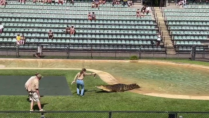 Steve Irwin Day 2022: Watch the Irwin family pay tribute to their late family member