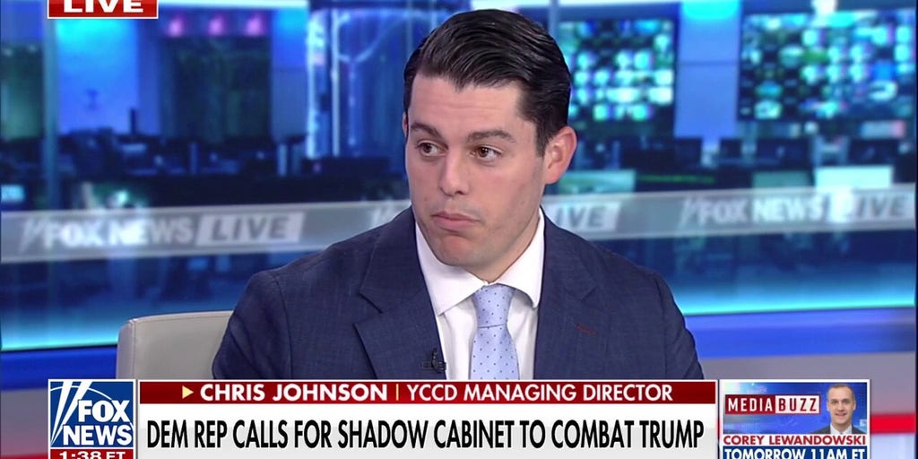 'Obviously Bizarre': Republican strategist reacts to Dem lawmaker's call for shadow cabinet