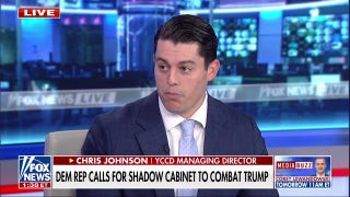 'Obviously Bizarre': Republican strategist reacts to Dem lawmaker's call for shadow cabinet - Fox News