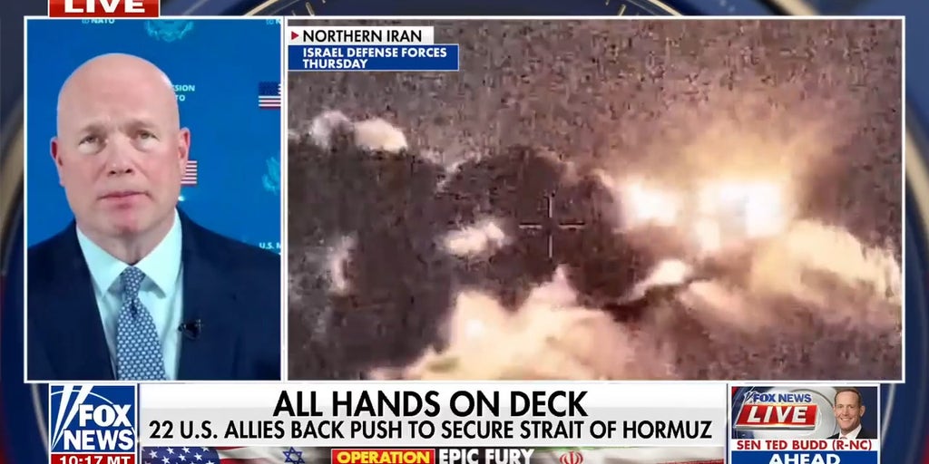 US allies back potential Strait of Hormuz coalition