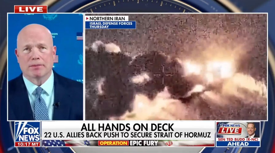 US allies backmost imaginable Strait of Hormuz coalition