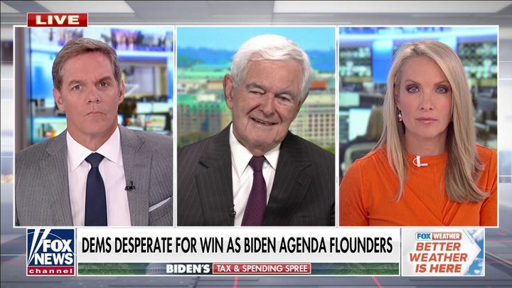 Gingrich warns Biden is lying about how Democrats will fund spending bill
