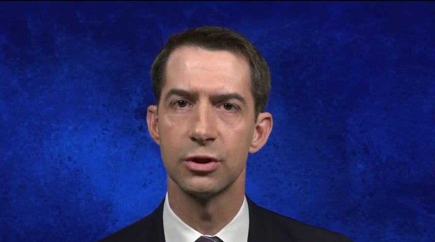 Sen. Tom Cotton: 'WHO is in the pocket of China'