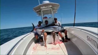 US tuna fishermen push back against global-imposed quotas