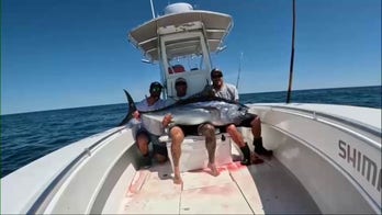 US tuna fishermen push back against global-imposed quotas