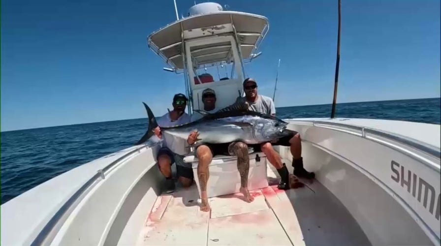 US tuna fishermen push back against global-imposed quotas