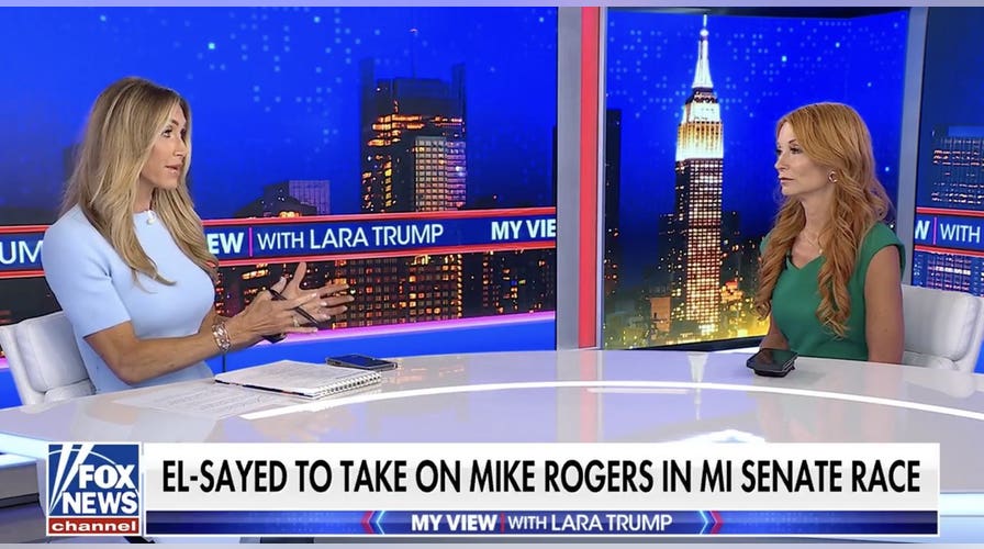 Michigan's election is 'crazy' vs 'common sense': GOP strategist