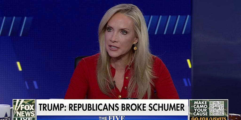 Dana Perino: A lot of people in the Dem Party are starting to see this about Chuck Schumer