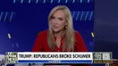 Dana Perino: A lot of people in the Dem Party are starting to see this about Chuck Schumer