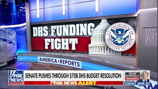 Senate pushes through DHS budget resolution