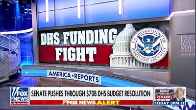 Senate pushes through DHS budget resolution