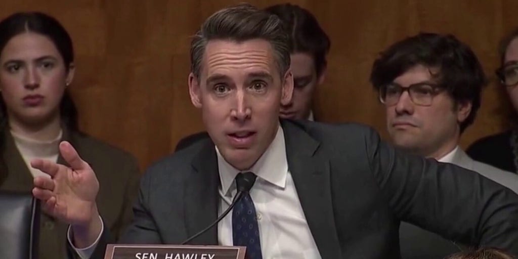 Sen. Josh Hawley shreds airline execs in hearing 'Nobody enjoys flying