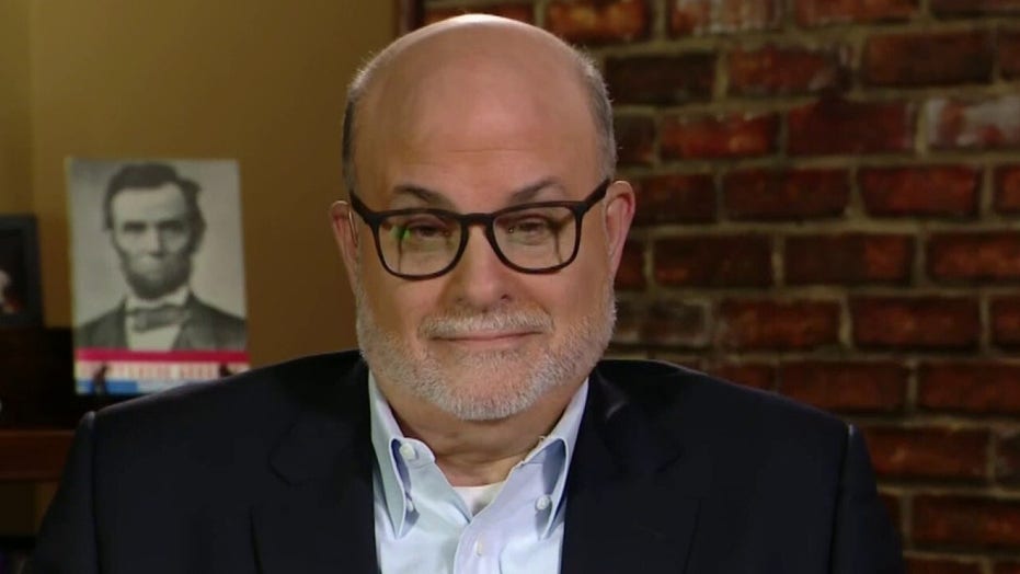Levin declares US recession, blames 'Democrats' invasion of Washington DC'