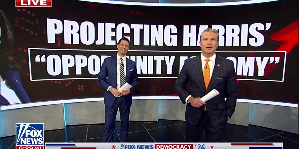 Cost of Harris’ economic plan is ‘money we don’t have’: Brian Brenberg