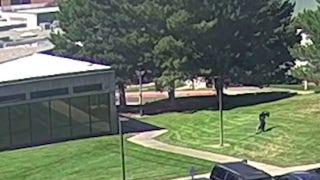 FBI releases new video of suspected Charlie Kirk assassin