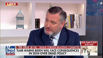 Sen. Ted Cruz calls out 'rabid' antisemitism from far-left Democrats