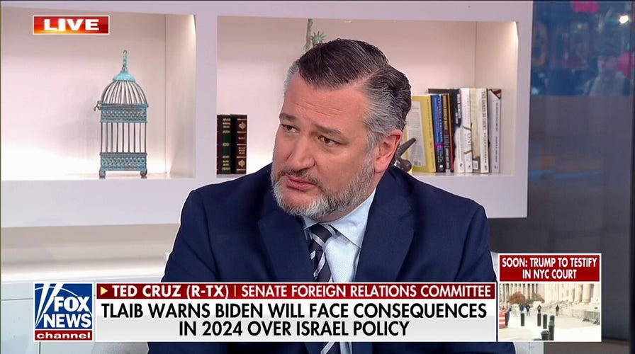 Sen. Ted Cruz calls out 'rabid' antisemitism from far-left Democrats