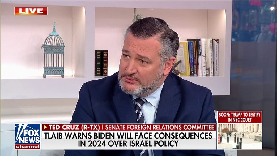 Sen. Ted Cruz calls out 'rabid' antisemitism from far-left Democrats