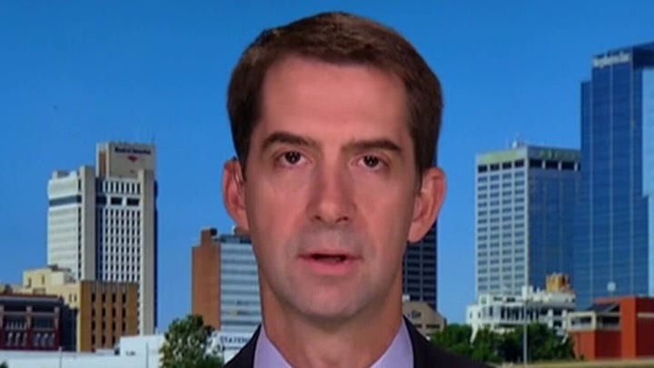 Sen. Cotton: TikTok is like a Trojan horse on American phones