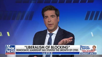 Watters rips Dems for wanting to 'tear down' civilization