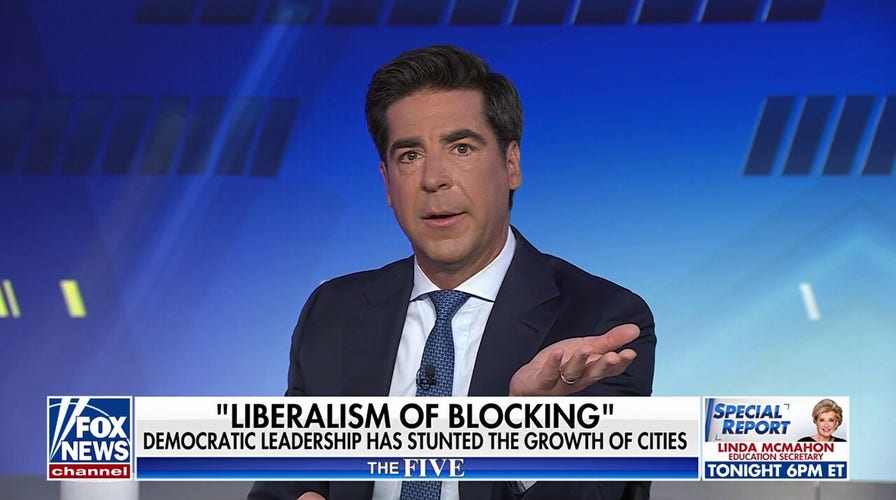 Watters rips Dems for wanting to 'tear down' civilization