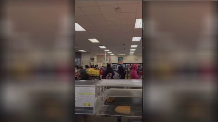 Wawa store ransacked by looters