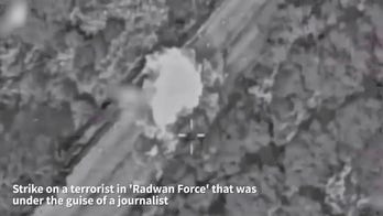 Israel Defense Forces announced the elimination of Ali Hassan Shaib