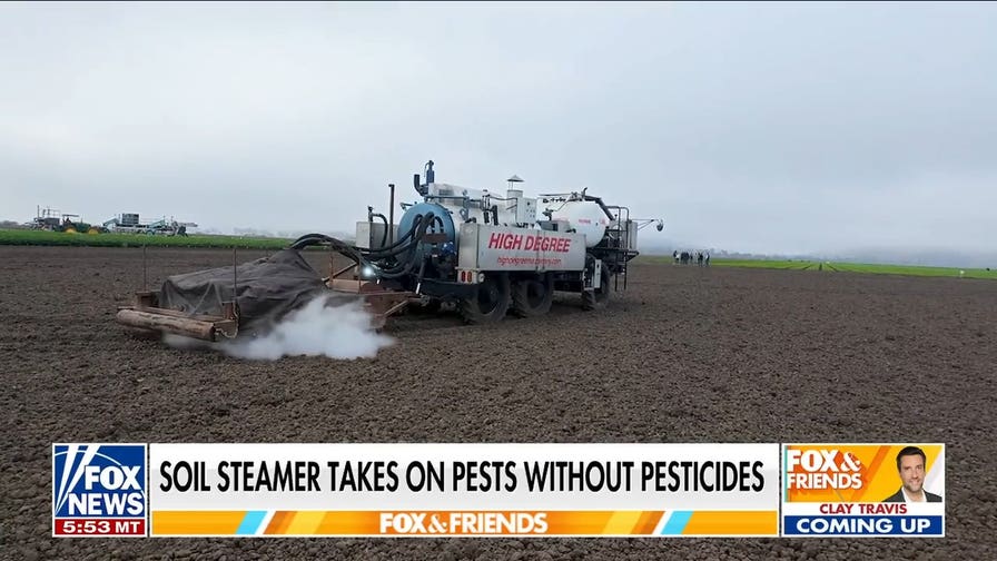 Propane-powered soil steamer targets weeds and pests on farms