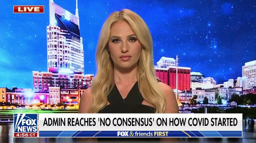 Tomi Lahren: Everyday Americans feel like they are being lied to