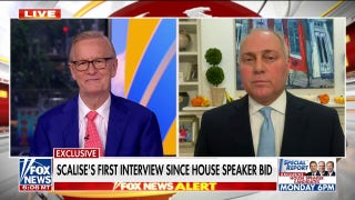 Rep. Steve Scalise on GOP in-fighting, McCarthy ousting: ‘There was a lot of frustration’ - Fox News
