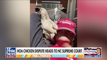 NC woman takes chicken ownership fight to the state's Supreme Court