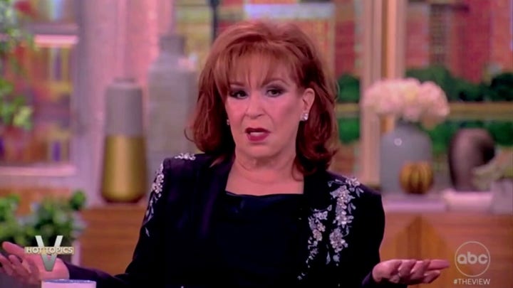 'The View' co-host claims the 'system is rigged' in rant about 'checks and balances'