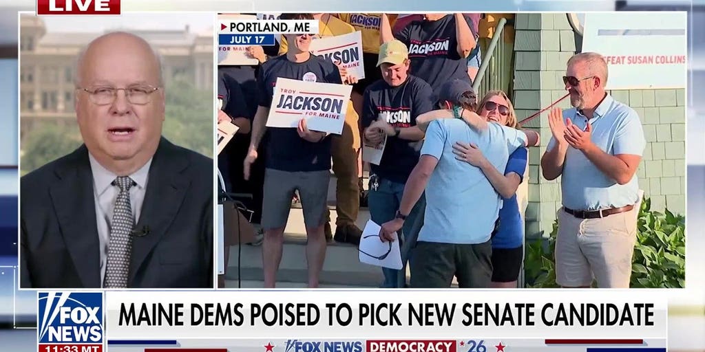 Karl Rove: Democrats lost their candidate because of lack of vetting