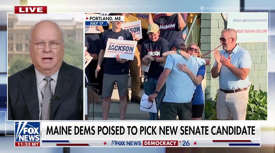 Karl Rove: Democrats lost their candidate because of lack of vetting