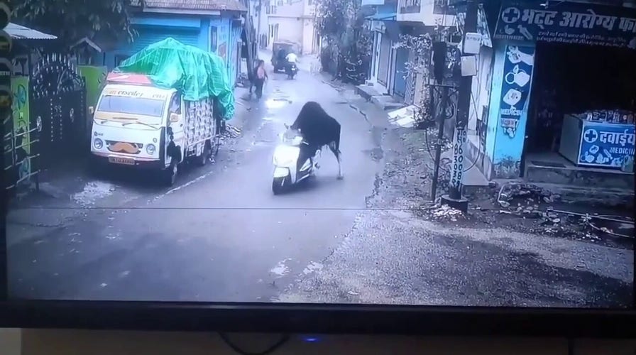Bizarre moment a bull mounts and rides a scooter in India