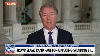 GOP senator explains where he and Trump are 'talking past each other' on 'big, beautiful bill'